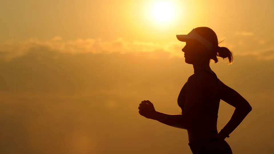 Фото: pxhere.com