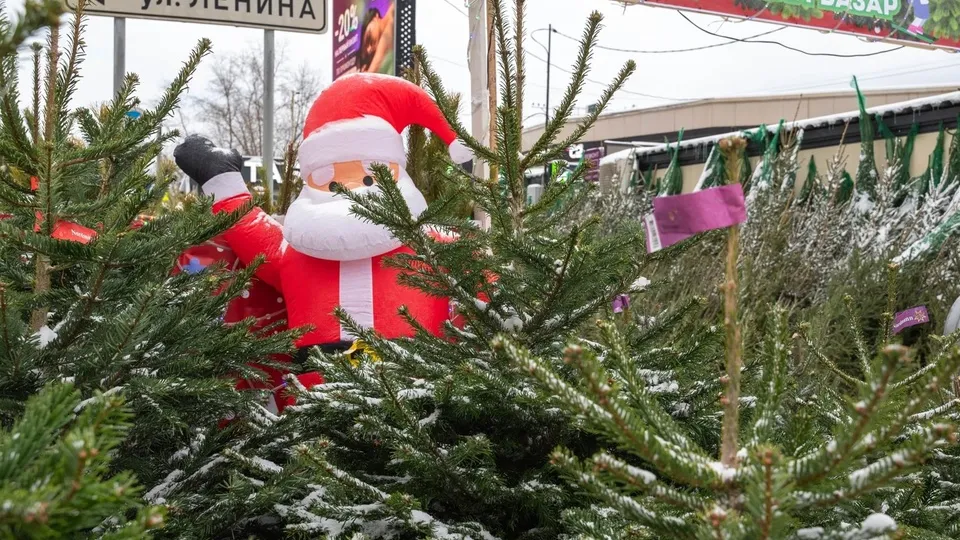 Фото: администрация г.о. Реутов