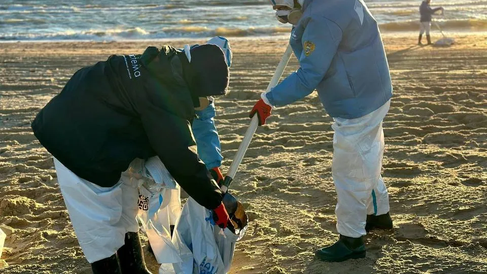 Фото: Мытищинский филиал МГТУ им. Н.Э. Баумана