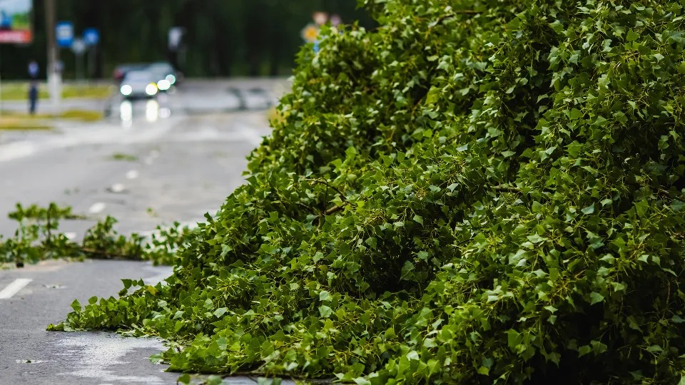 Фото: istockphoto.com