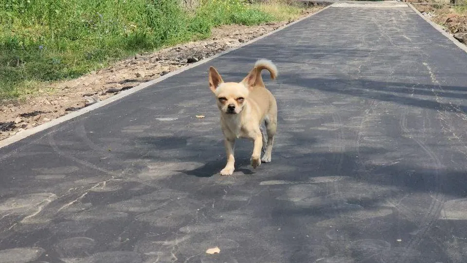 Фото: МедиаБанк Подмосковья/Анна Шолохова