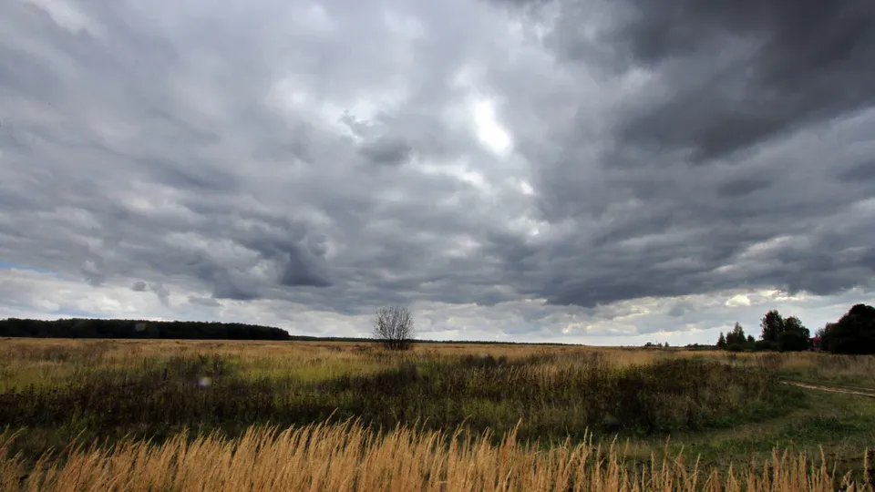 Фото: Медиаархив Подмосковья