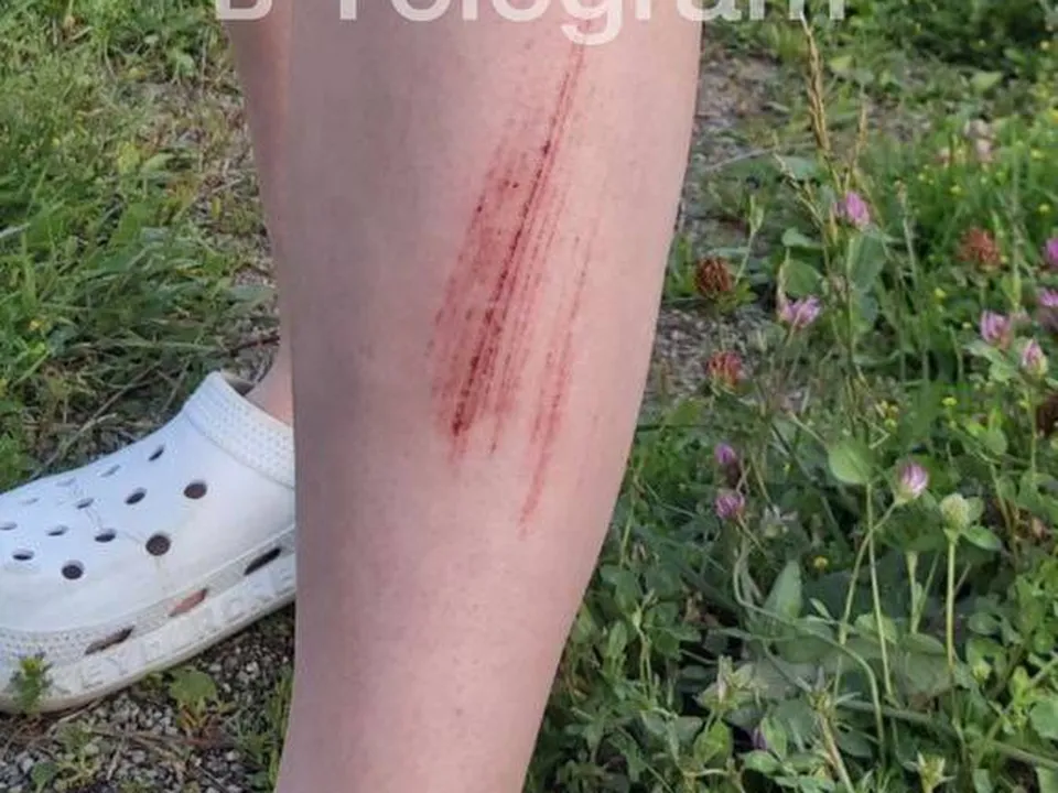 Фото:  t.me/myluber