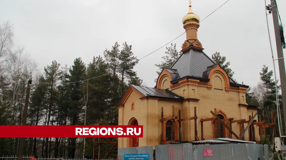 Фото: REGIONS/Василий Тремасов