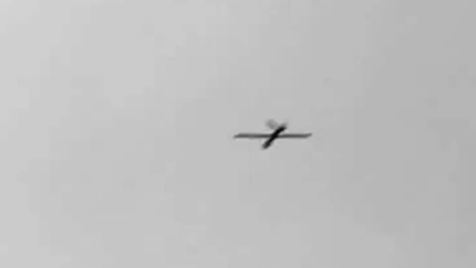 Фото: сommons.wikimedia/ALPR