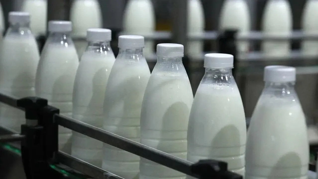 Фото: Пресс-служба Минсельхозпрода МО