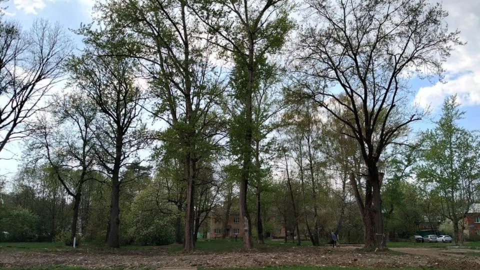 Фото: Комитет по архитектуре и градостроительству Московской области