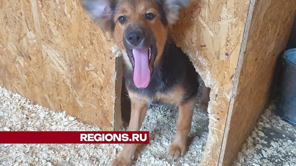 Фото: Александр Дрожжин