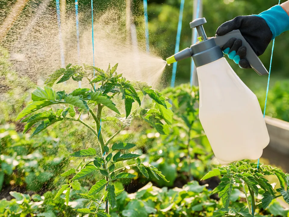 Фото: istockphoto.com