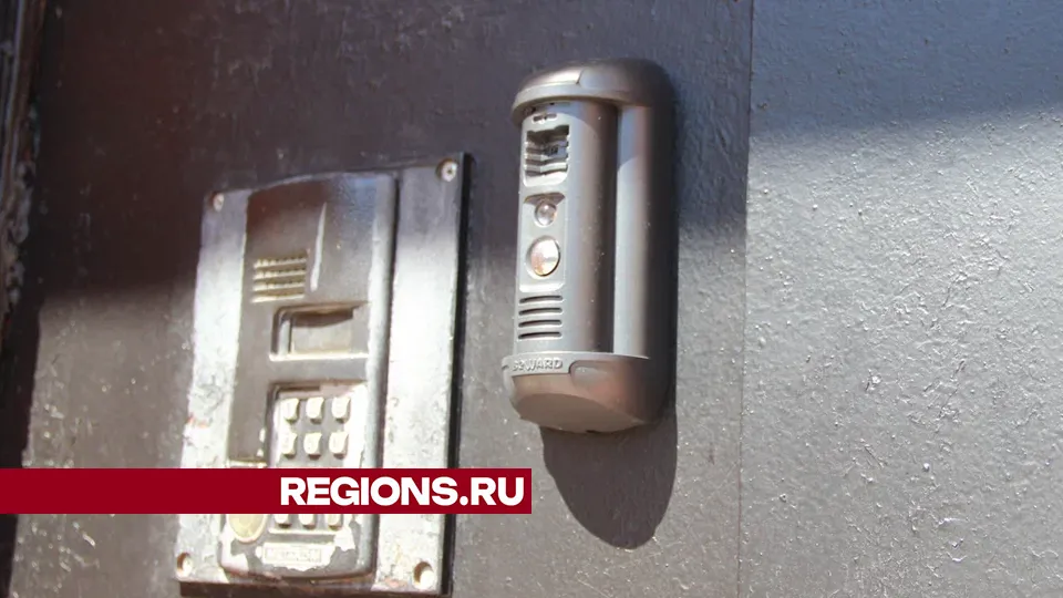 Фото: REGIONS/Василий Тремасов