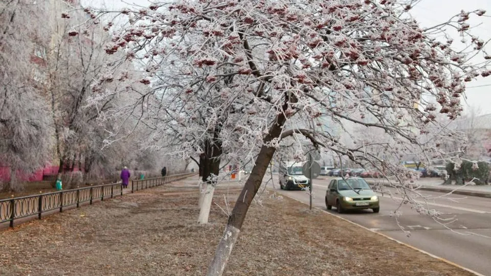 Фото: медиасток.рф