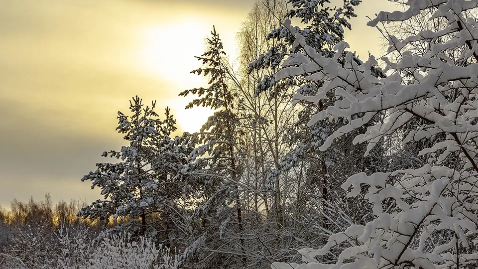 Фото: Антон Кондратюк