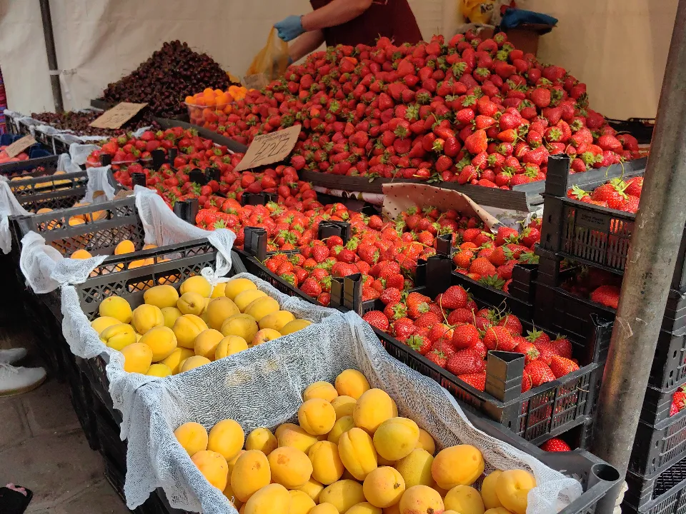 Фото: МедиаБанк Подмосковья/Елена Катасонова