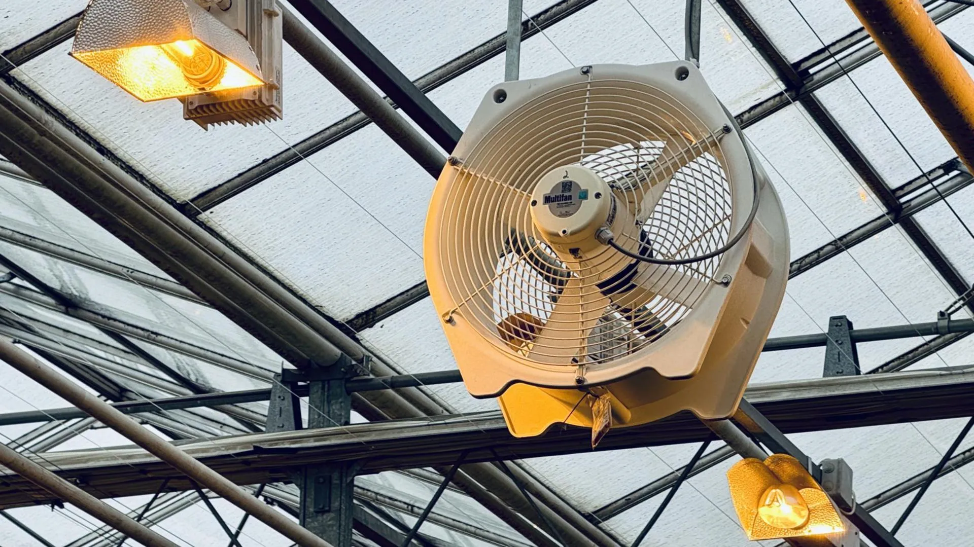 МедиаБанк Подмосковья/Ольга Стаферова