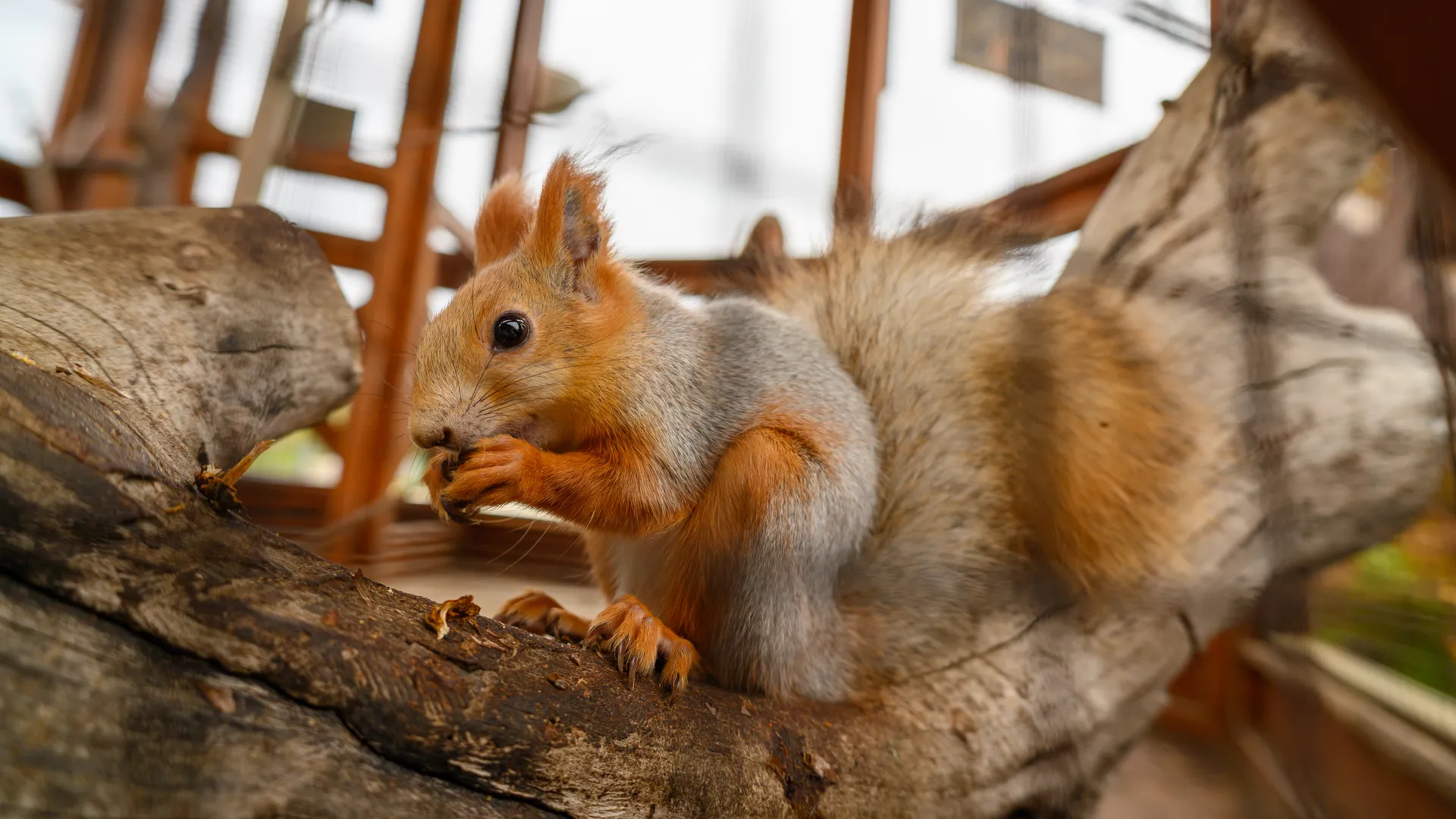 медиасток.рф