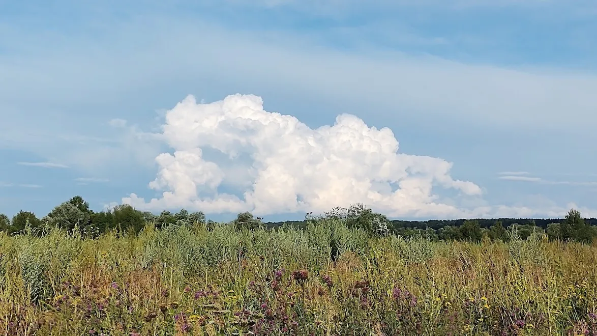 Фото: REGIONS/Алексей Селиверстов