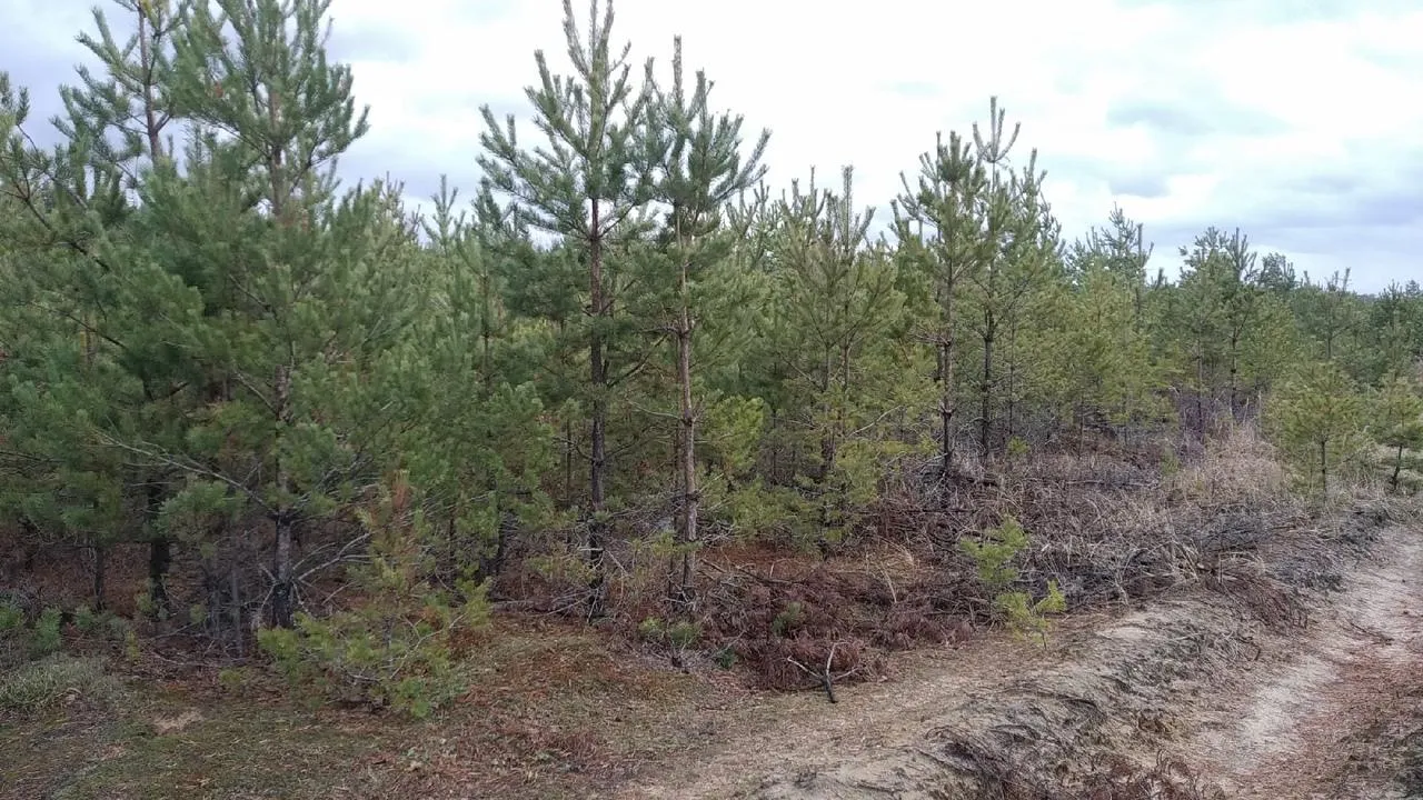 Фото: Татьяна Синельникова