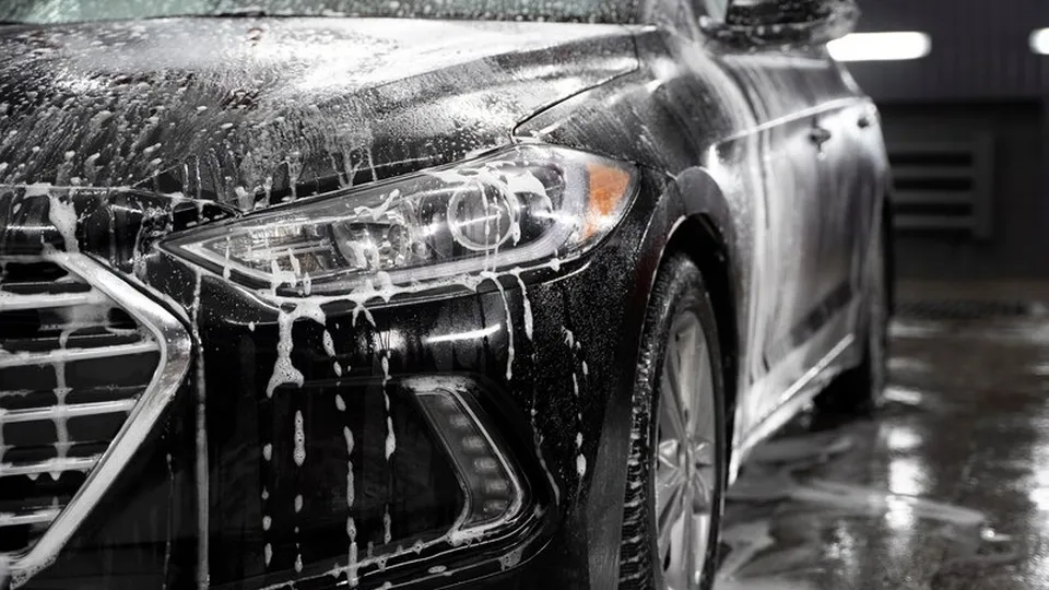 Фото: freepik.com