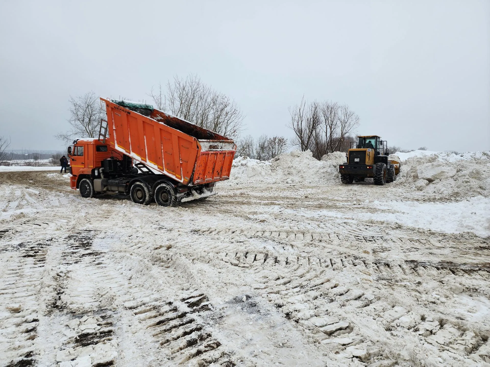 Фото: МедиаБанк Подмосковья/Ирина Моисеева