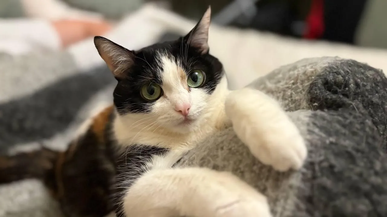 REGIONS/Полина Крачун