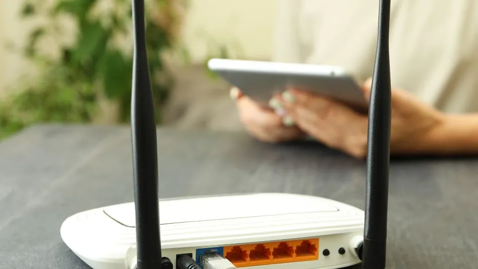 Фото: istockphoto.com/Liliia Bila