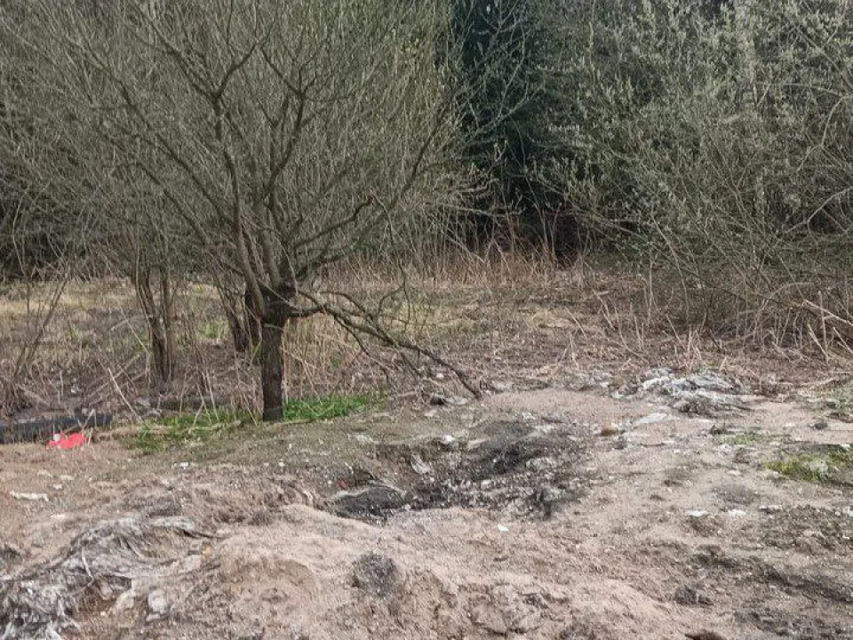 Фото: пресс-служба администрации г.о. Солнечногорск