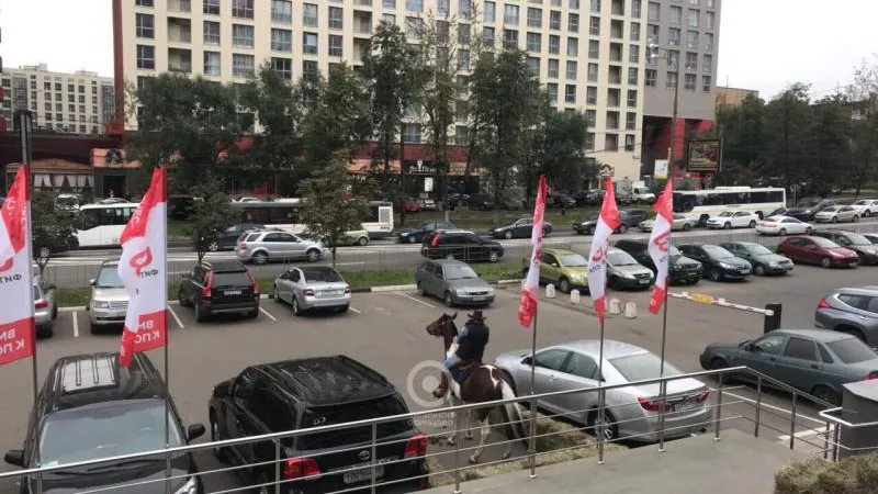 Ковбой припарковал коня на стоянке в Одинцове