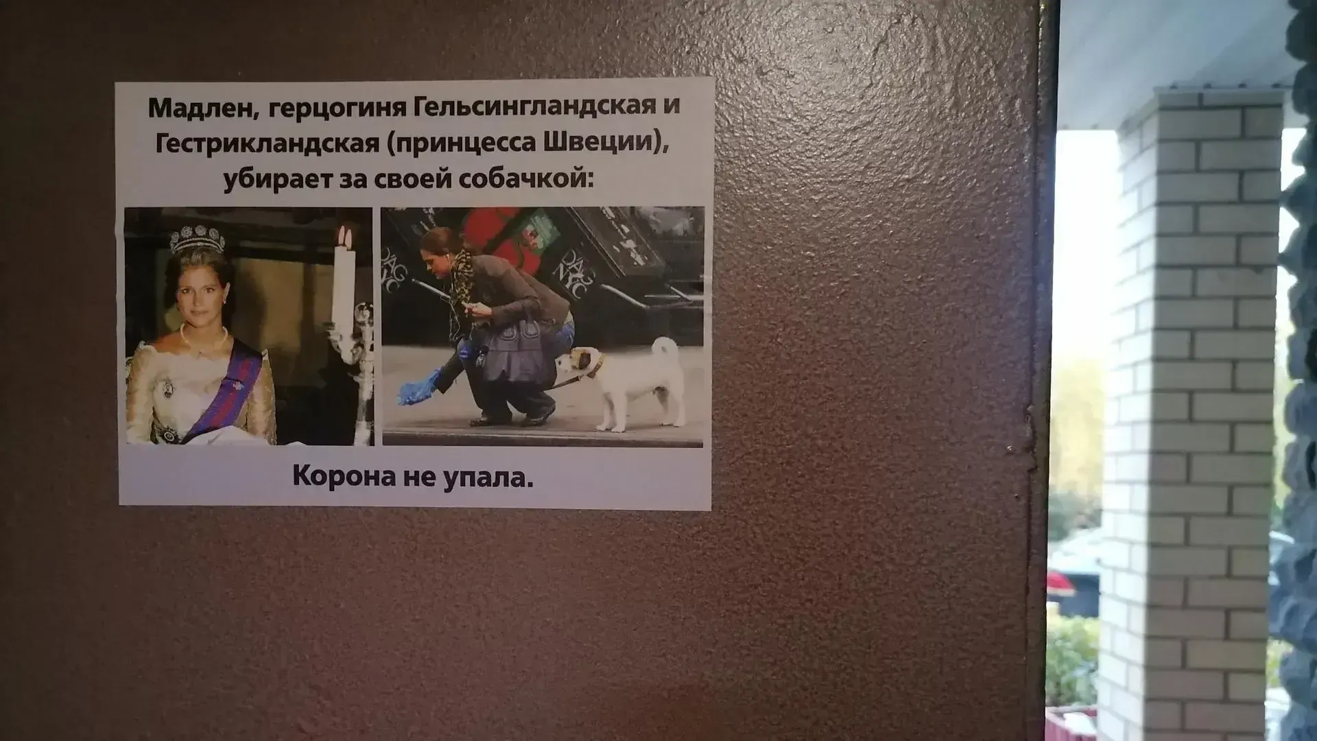 Фото: Александра Никитина