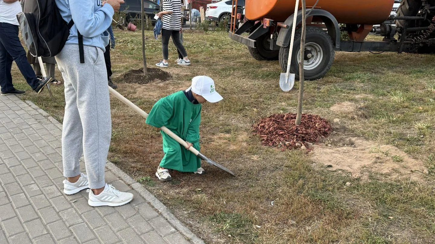 Картинка