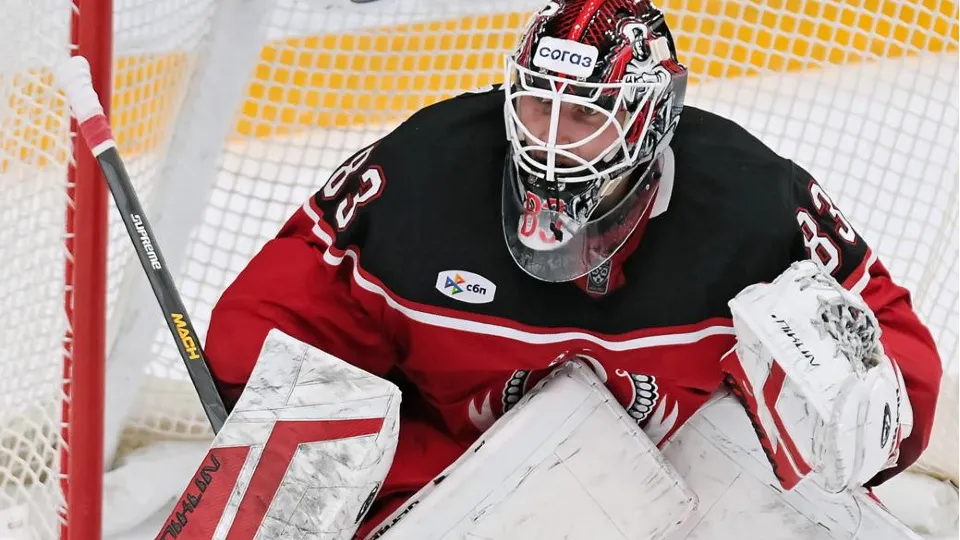 Фото: ХК «Витязь»