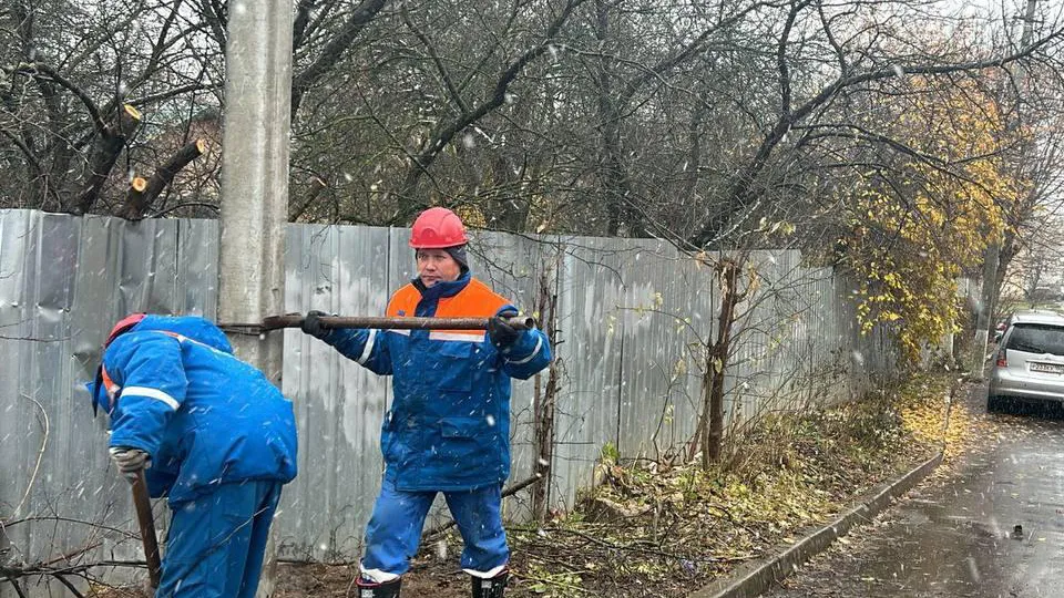Фото: АО «Мособлэнерго»