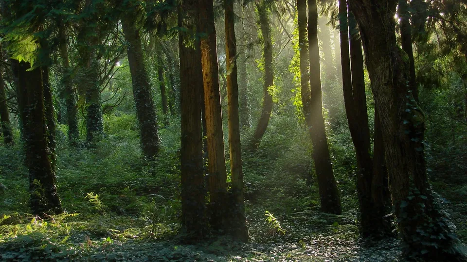 Фото: freepik.com