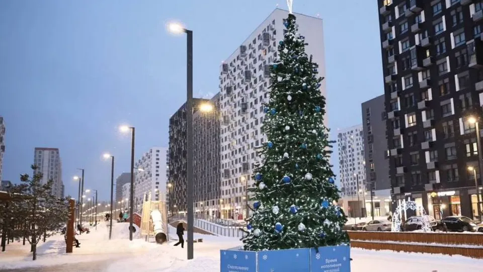 Фото: пресс-служба Администрации городского округа Мытищи
