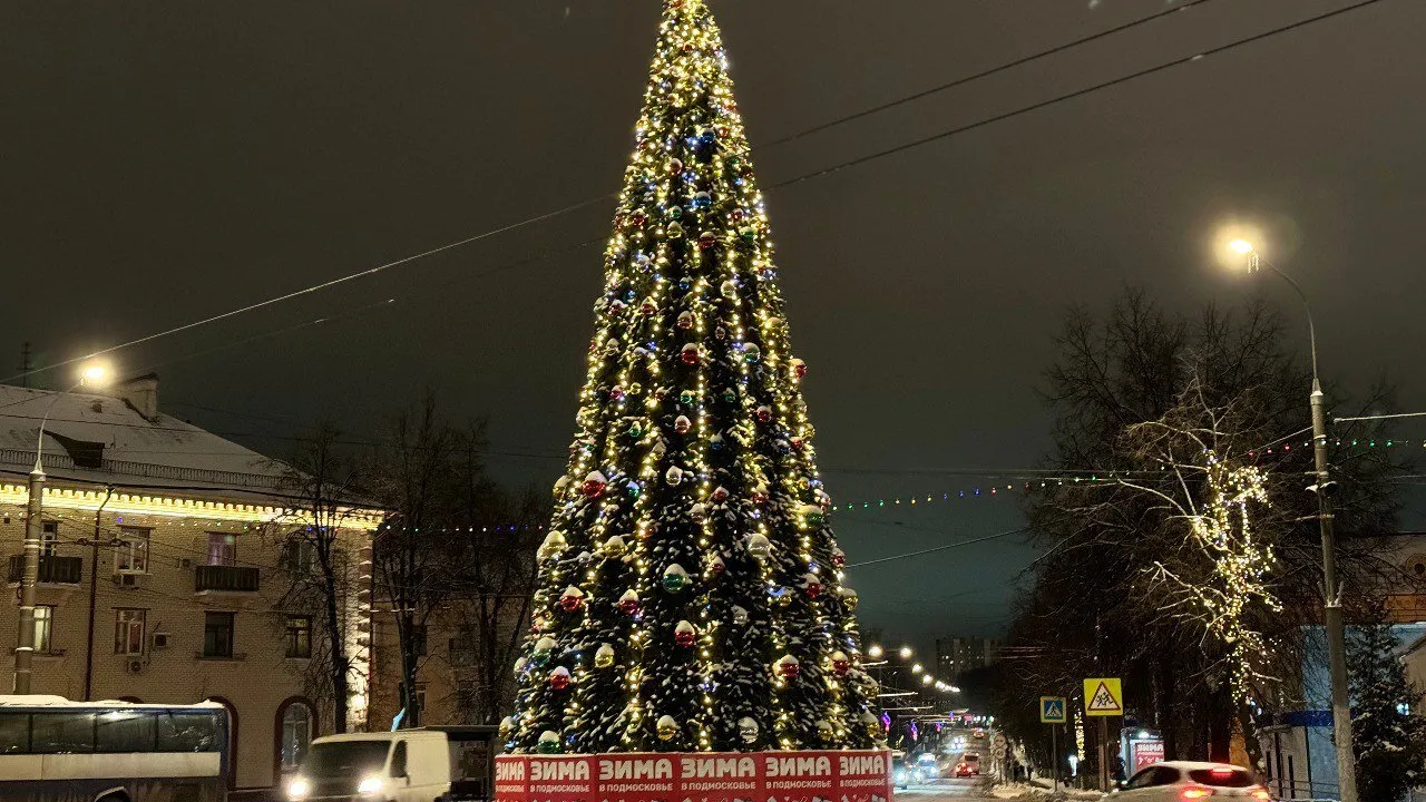 Фото: МедиаБанк Подмосковья/Полина Абраменко