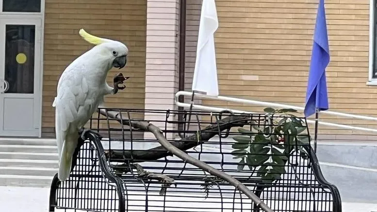 Фото: личный архив Эдуарда Галтвина