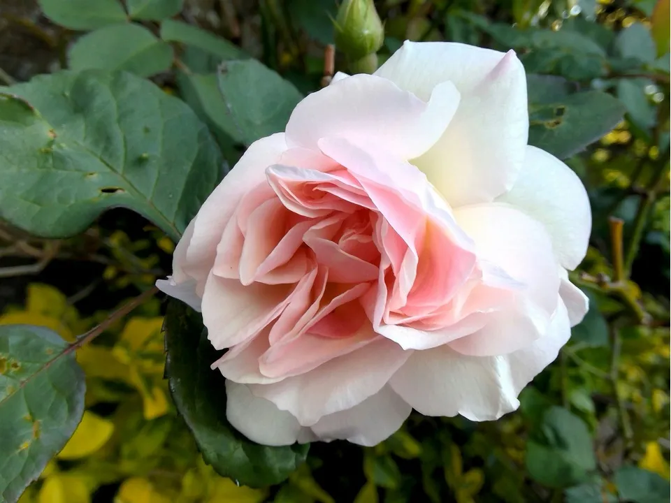 Фото: unsplash.com