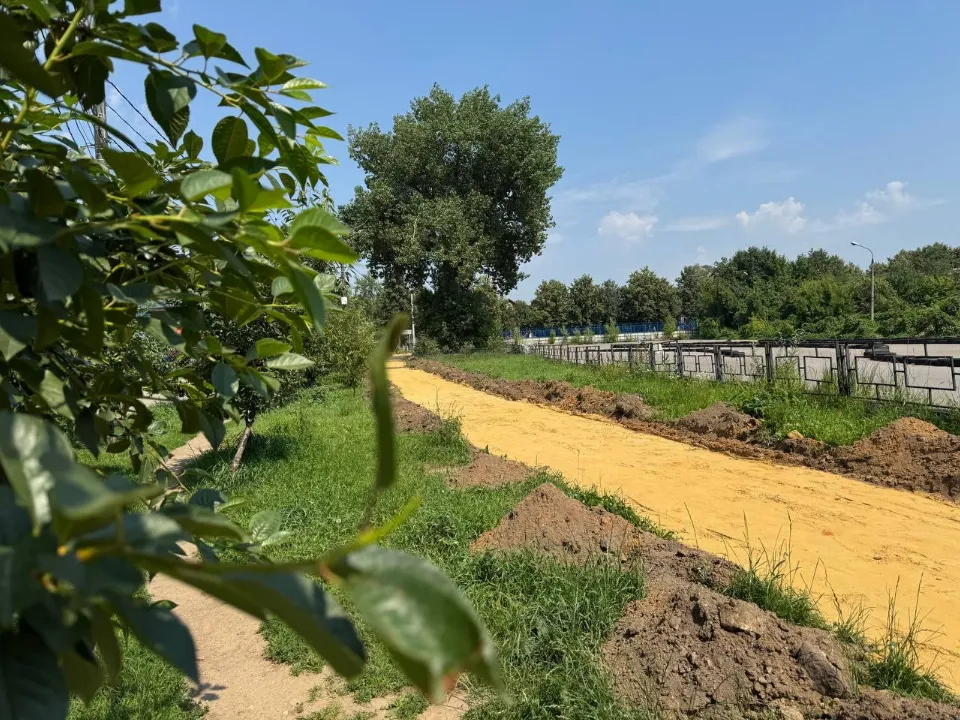 Фото: пресс-служба администрации Ленинского г.о.