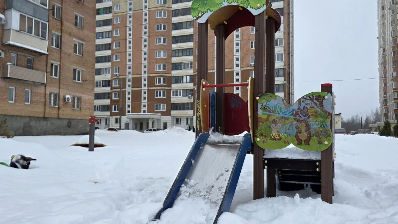 Алёна Притула