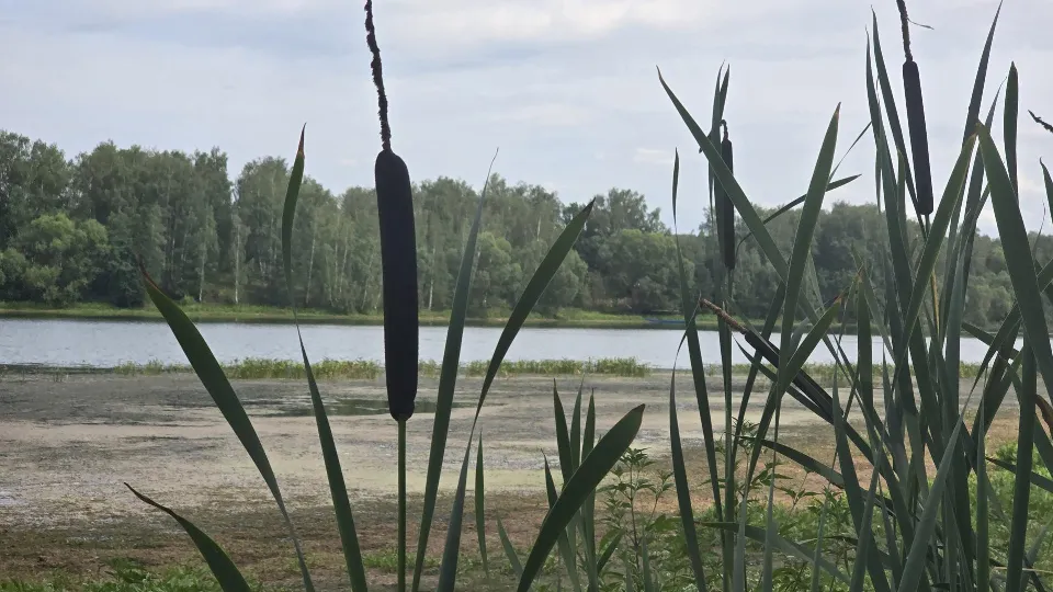 Фото: Марина Анисимова