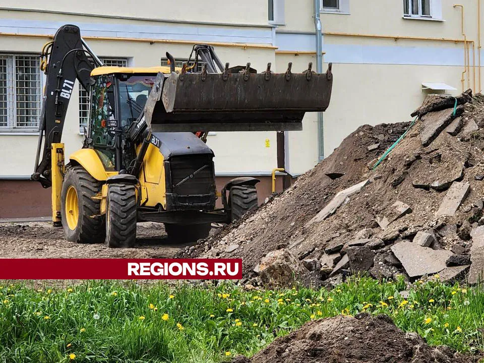 Фото: Валерия Тингаева