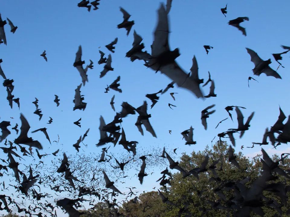 Фото: istockphoto.com/milehightraveler