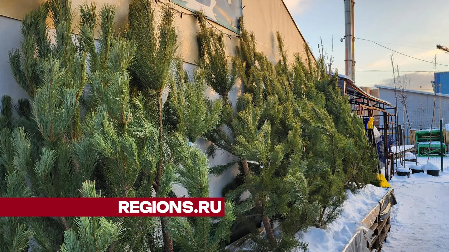 Фото: Андрей Семибратов