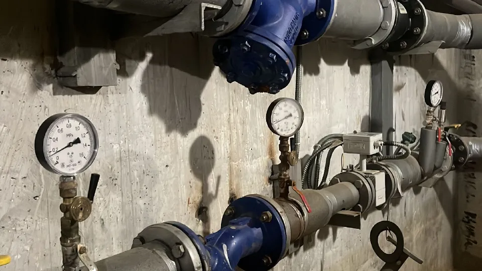 Фото: МедиаБанк Подмосковья/Елизавета Приймак