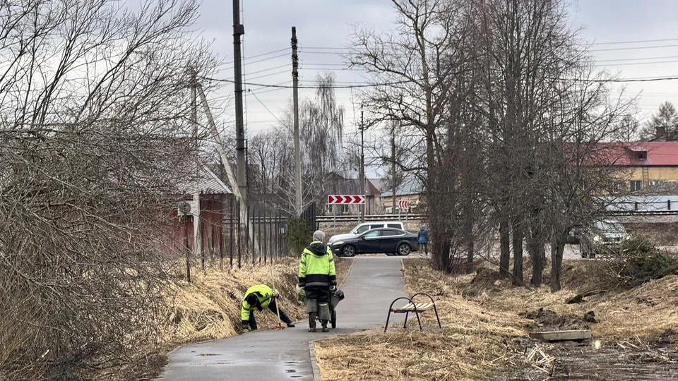 Фото: Татьяна Рунова