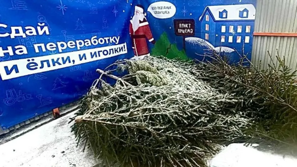 Фото: пресс-служба администрации м.о. Истра