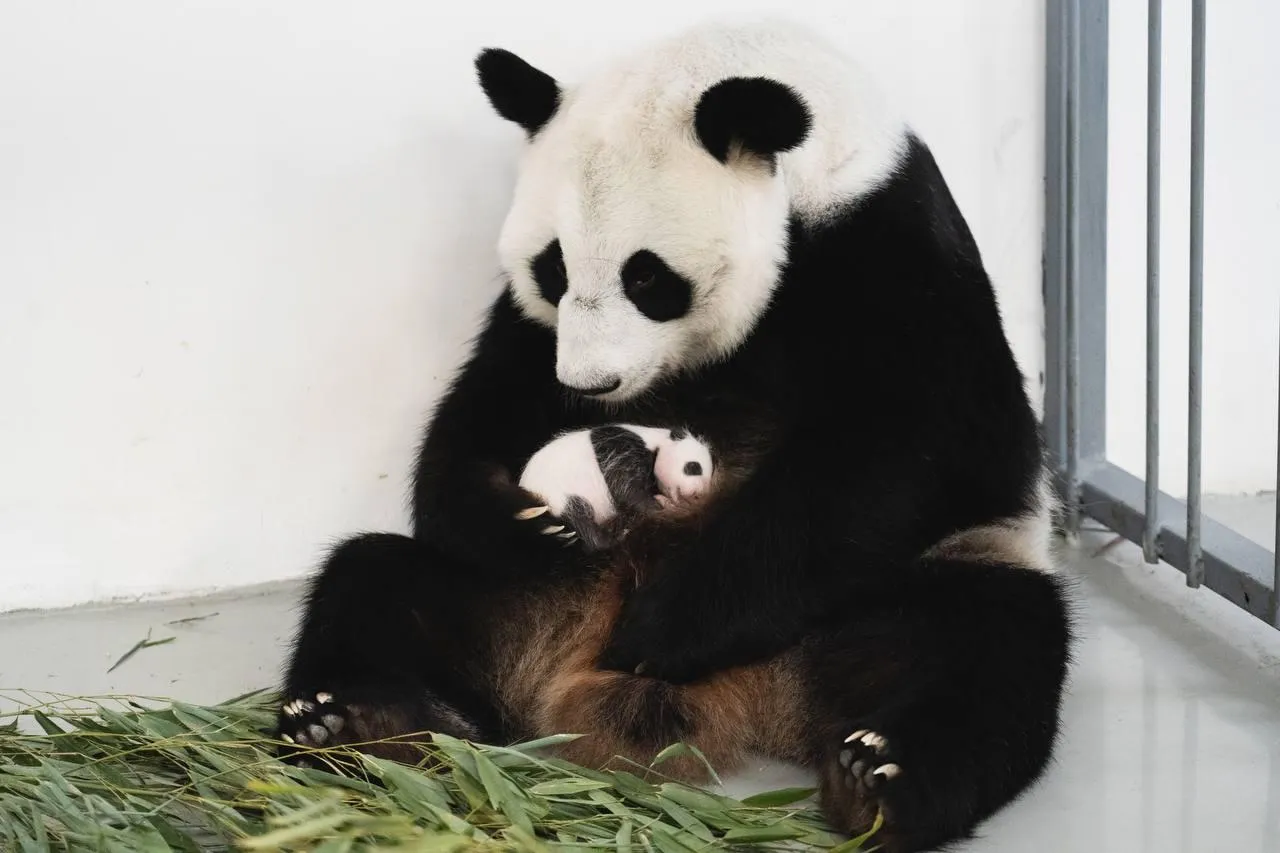 Источник: Telegram-канал Сергея Собянина