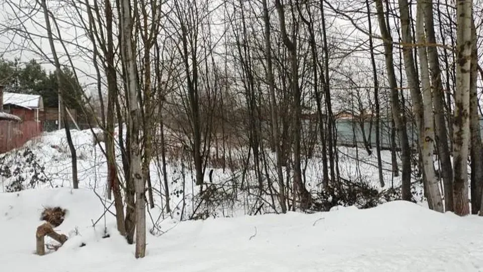 Фото: Комитет по конкурентной политике МО