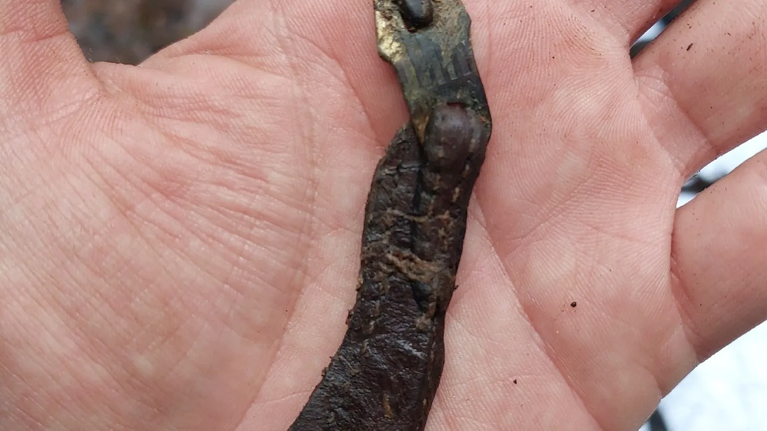 Фото: Поисковый отряд «БУМЕРАНГ - ДОСААФ» Наро-Фоминск