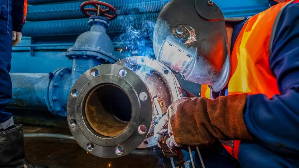 Фото: пресс-служба губернатора и правительства Московской области/Екатерина Агеева