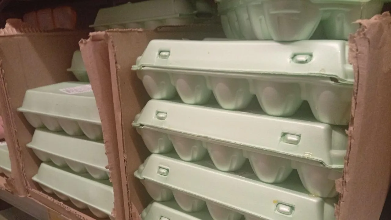 REGIONS/Дмитрий Роман